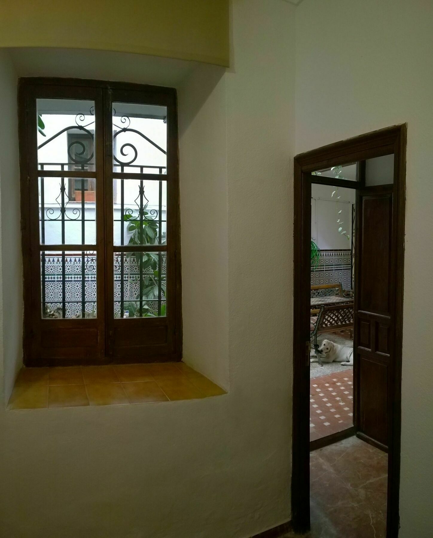 מלון קורדובה Casa Patio De La Vega מראה חיצוני תמונה