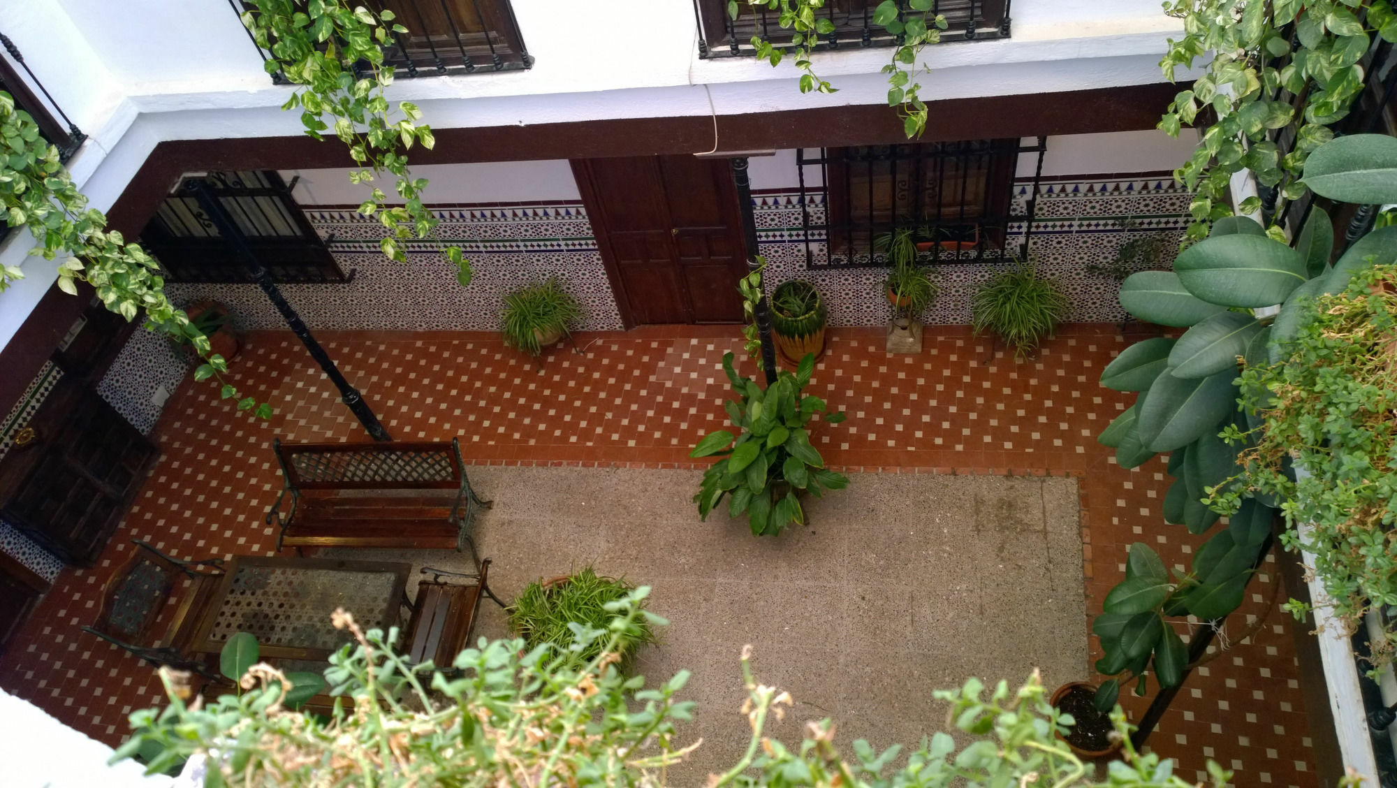 מלון קורדובה Casa Patio De La Vega מראה חיצוני תמונה